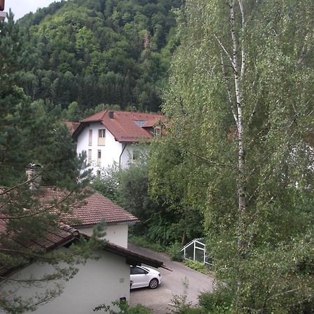 Appartemant Steineberg Immenstadt im Allgäu Exteriör bild